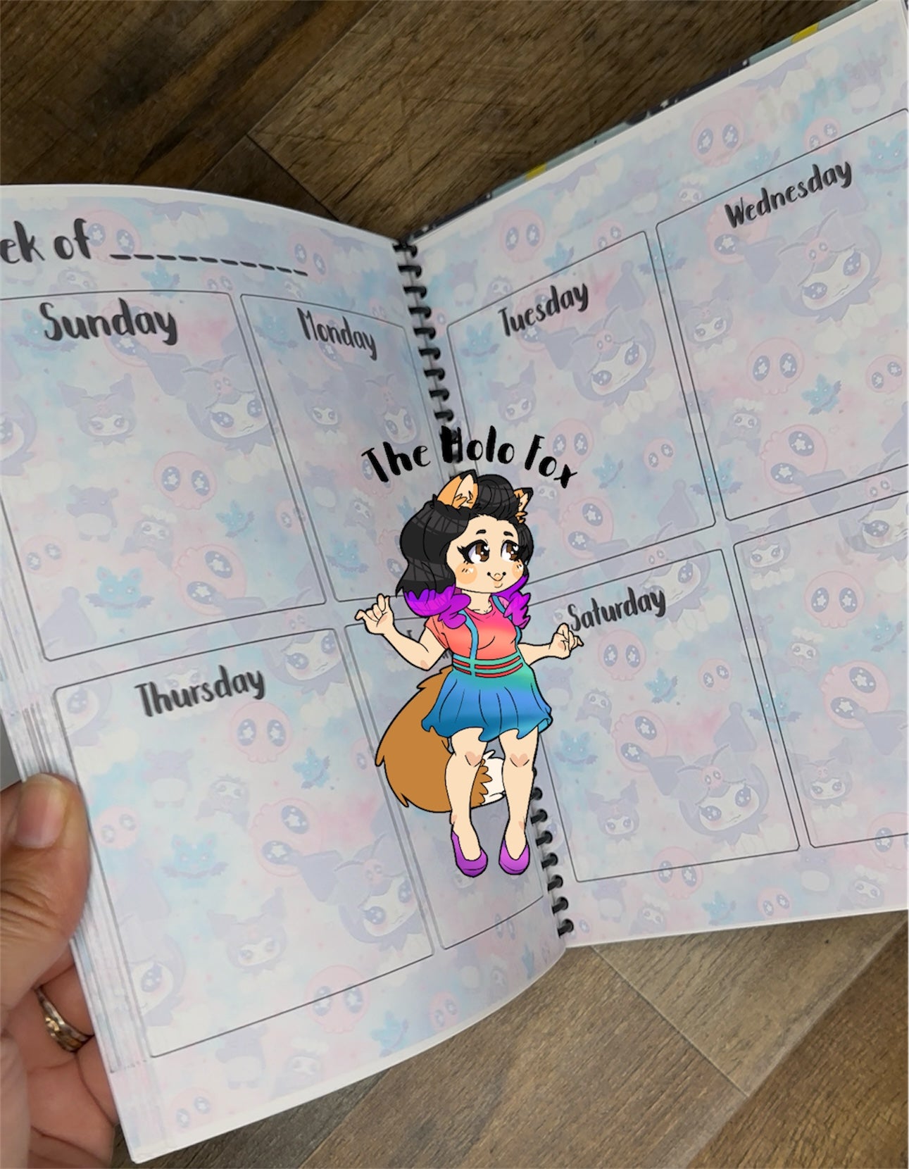 Sanrio planner you choose cover