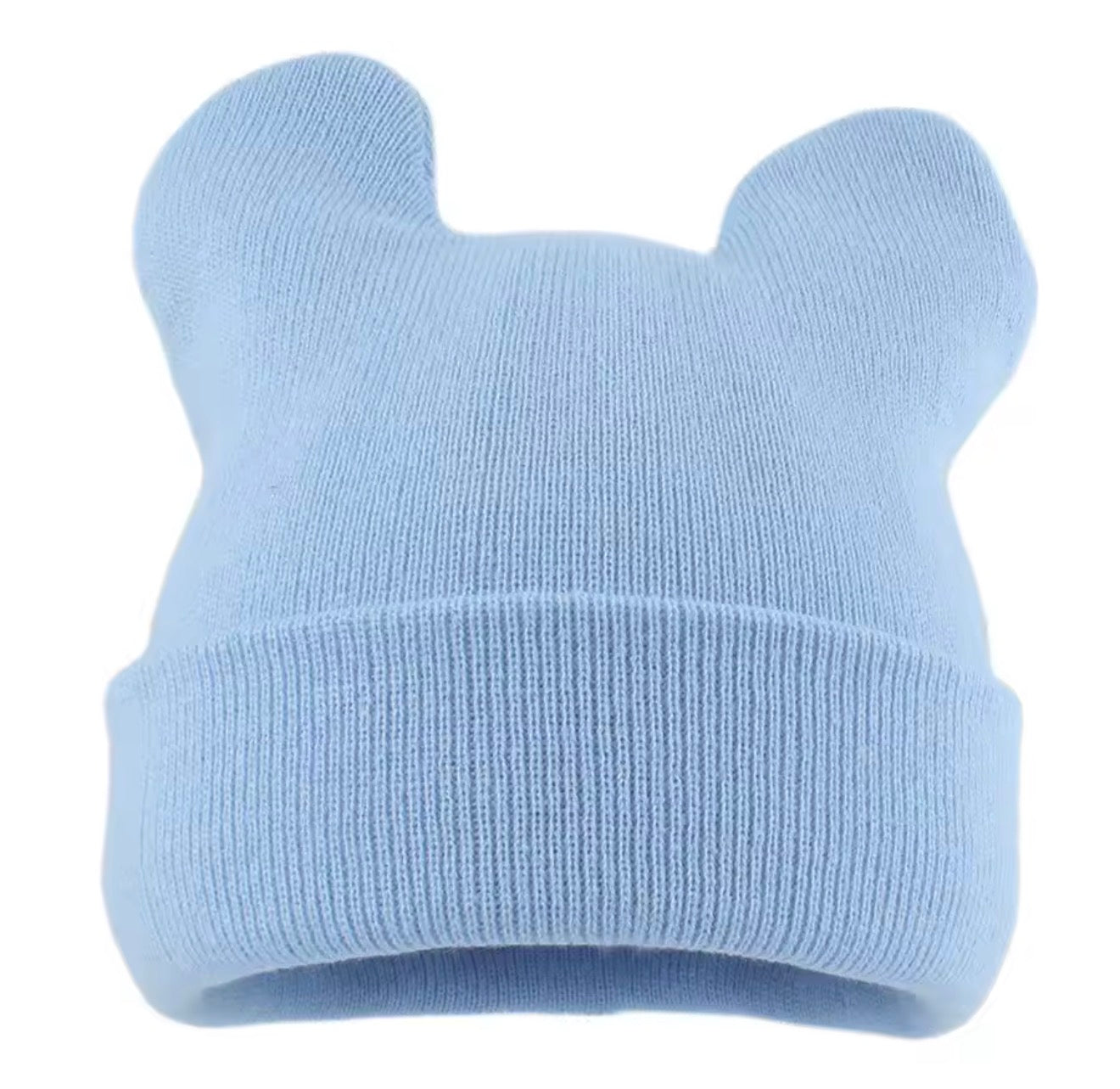 Totoro beanie pre order