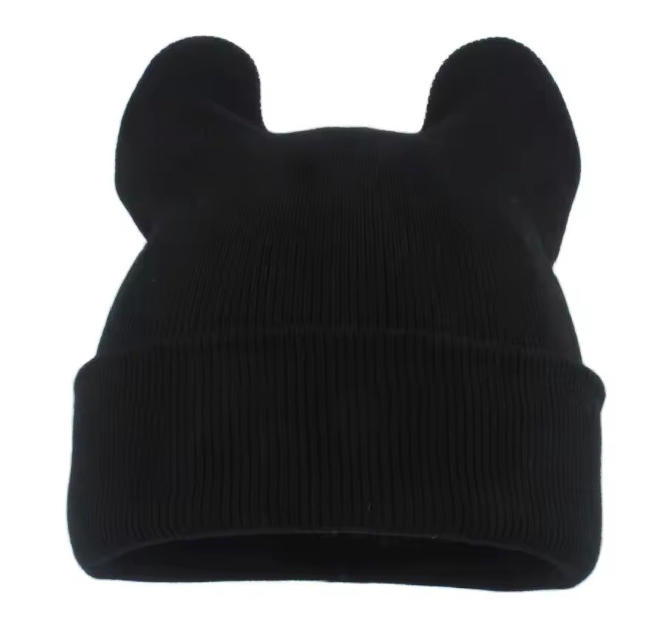 Totoro beanie pre order
