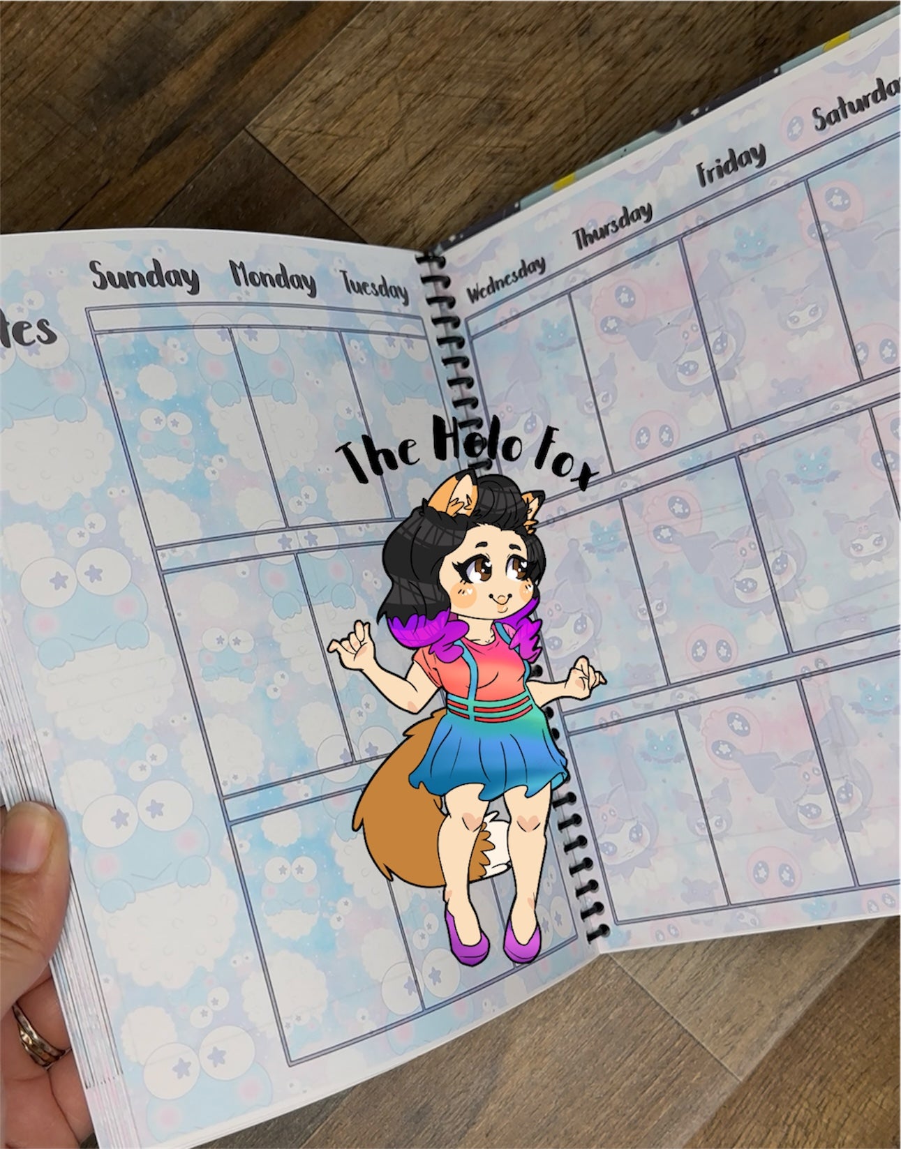 Sanrio planner you choose cover