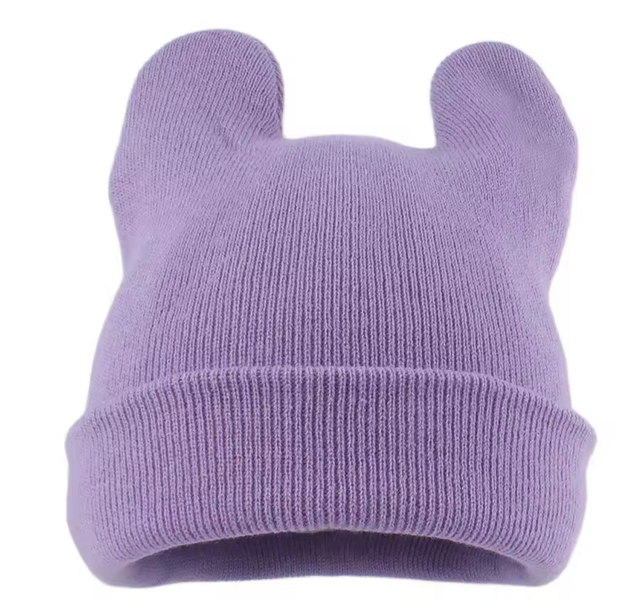 Totoro beanie pre order