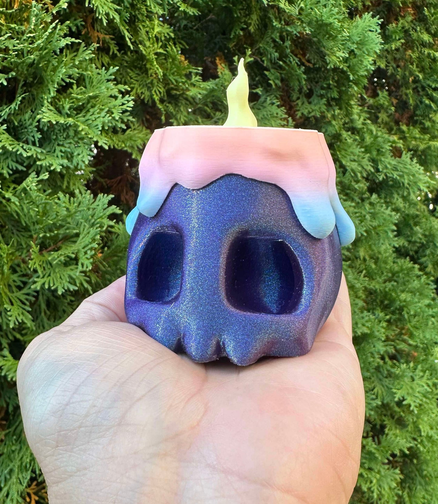 CheeserFox designs skull container